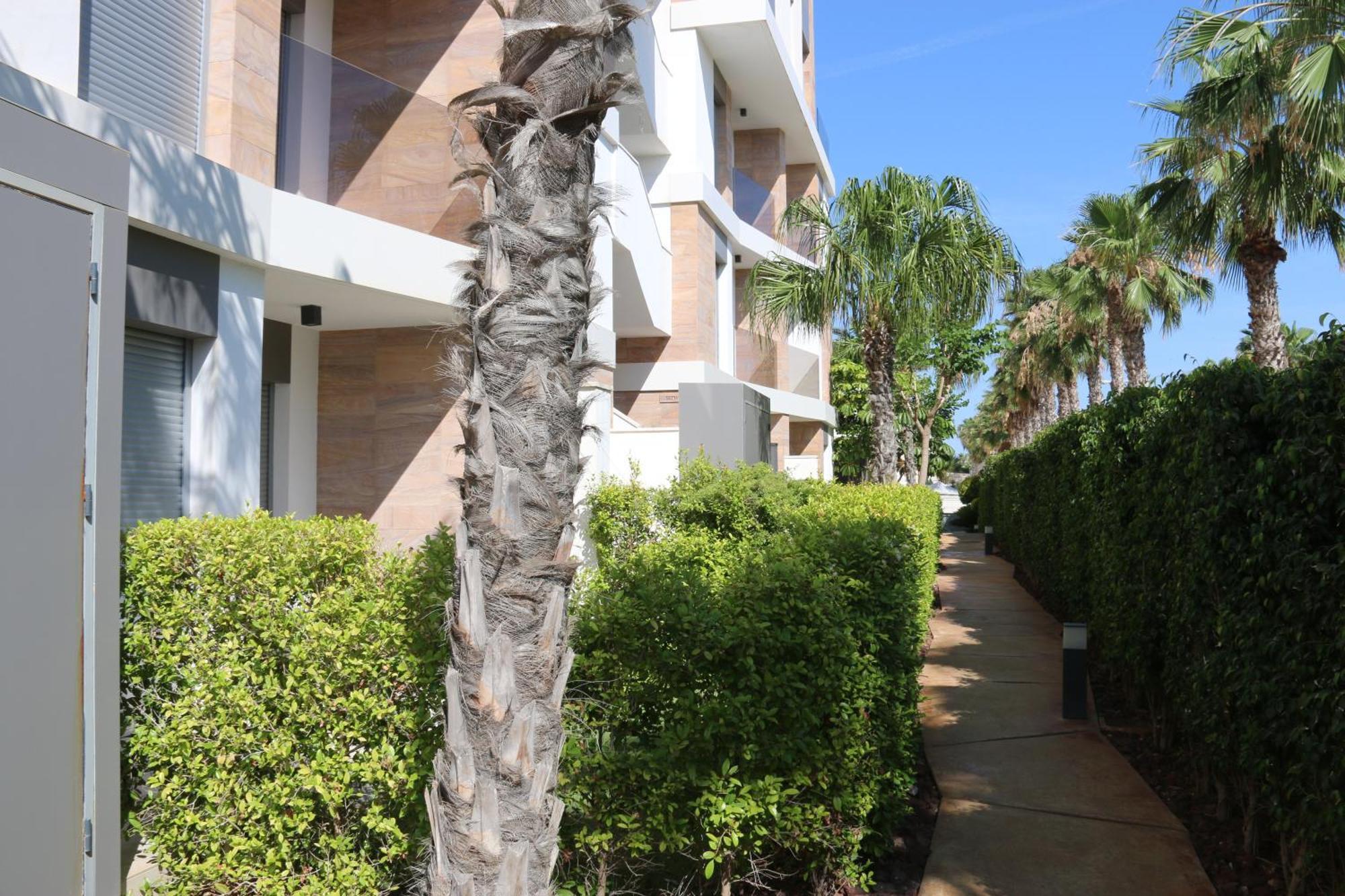 Luxusni Apartman Ve Spanelsku, Cabo Roig Orihuela Exteriér fotografie